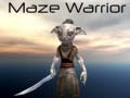 Xogo Maze Warrior