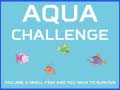 Xogo Aqua Challenge