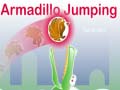 Xogo Armadillo Jumping