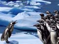 Xogo Penguins Slide