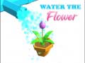 Xogo Water The Flower