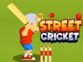 Xogo Street Cricket