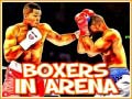 Xogo Boxers in Arena