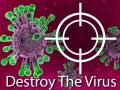 Xogo Destroy The Virus