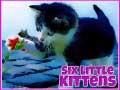 Xogo Six Little Kittens