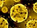 Xogo Coronavirus Slide