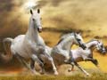 Xogo Running Horse Slide