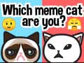 Xogo Which Meme Cat Are You?