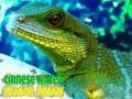 Xogo Chinese Water Dragon Jigsaw