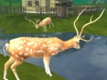 Xogo Deer Hunting Sniper Shooting