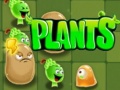 Xogo Plants