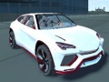 Xogo Amsterdam Project Car Physics Simulator