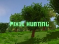Xogo Pixel Hunting
