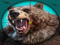 Xogo Wild Bear Hunting