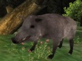 Xogo Wild boar Hunting