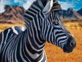 Xogo Zebra Hunter