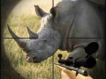 Xogo Wild Rhino Hunter