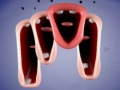 Xogo Crazy Lips
