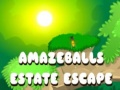 Xogo Amazeballs Estate Escape