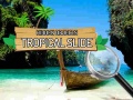 Xogo Hidden Objects: Tropical Slide