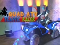Xogo Quad ATV Traffic Racer