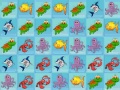 Xogo Sea World Collection