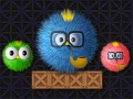 Xogo Where Is My Ruffled Bird