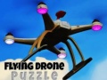Xogo Flying Drone Puzzle