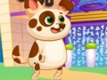 Xogo Lovely Virtual Dog