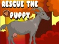 Xogo Rescue The Puppy