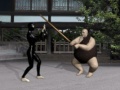 Xogo Buyoda Sensei