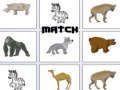 Xogo Match