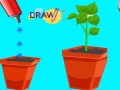 Xogo Draw Missing Part