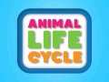 Xogo Animal Life Cycle