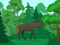 Xogo Wild Animals Coloring