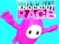 Xogo Ultimate Knockout Race