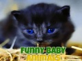 Xogo Funny Baby Animals