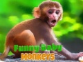 Xogo Funny Baby Monkey