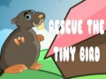 Xogo Rescue The Tiny Bird