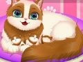 Xogo Cute Kitty Pregnant