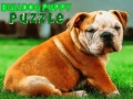 Xogo Bulldog Puppy Puzzle