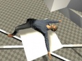 Xogo Ragdoll Test