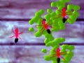 Xogo Smash Ants