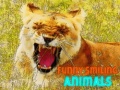 Xogo Funny Smiling Animals