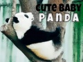 Xogo Cute Baby Panda