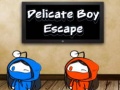 Xogo Delicate Boy Escape