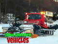 Xogo Snow Groomer Vehicles