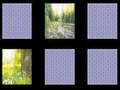 Xogo Nature Memory