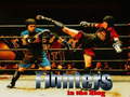 Xogo Fighters in the Ring