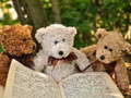 Xogo Cuddly Three Teddy Jigsaw